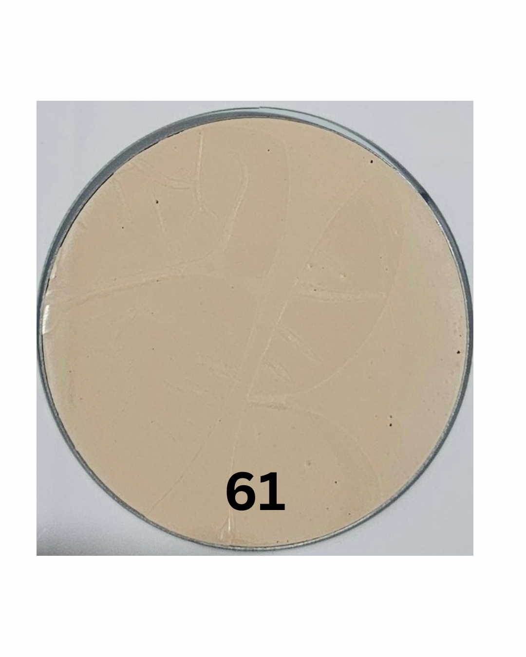 The Star Cream Foundation - Additional Image 1